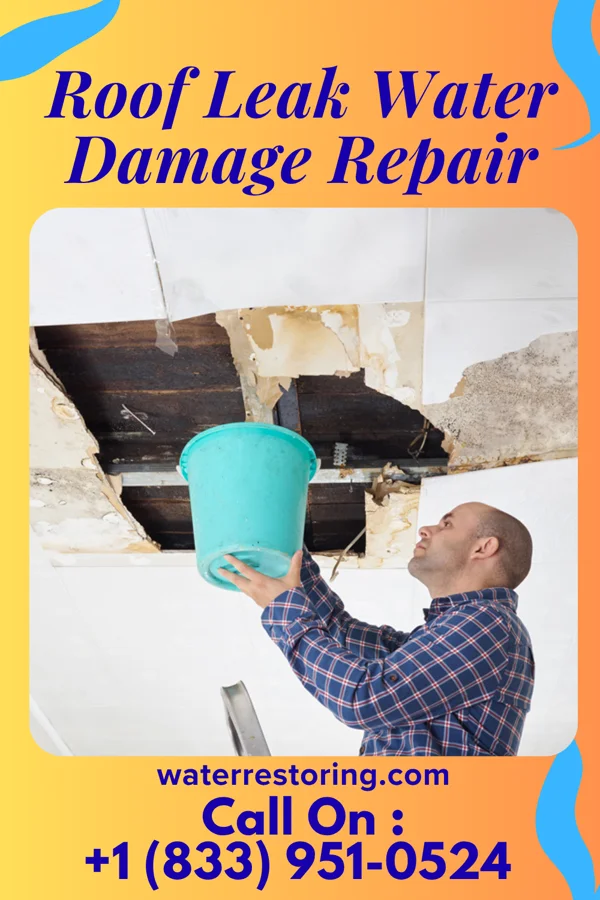 Roof Leak Water Damage Repair in Pembroke, GA